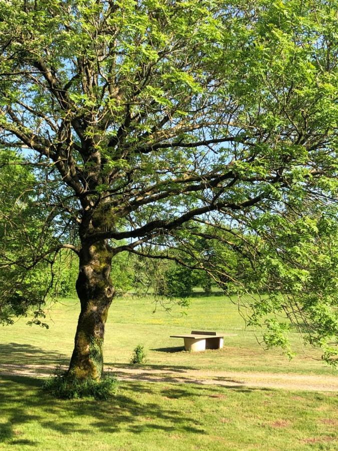 Domaine De Tapies 2 Gites Jusqu A 19 Personnes Cornus Kültér fotó